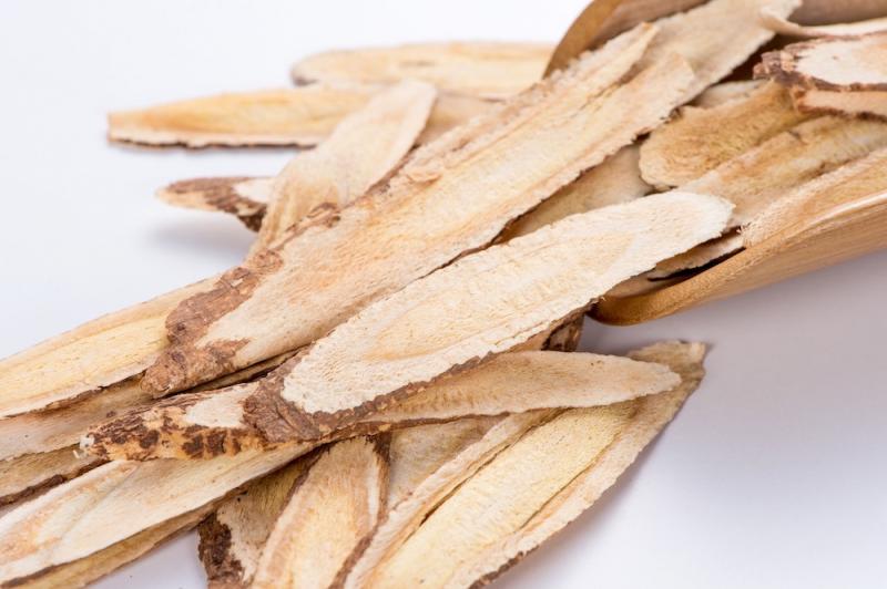 Astragalus the Winter Weather Immune Booster